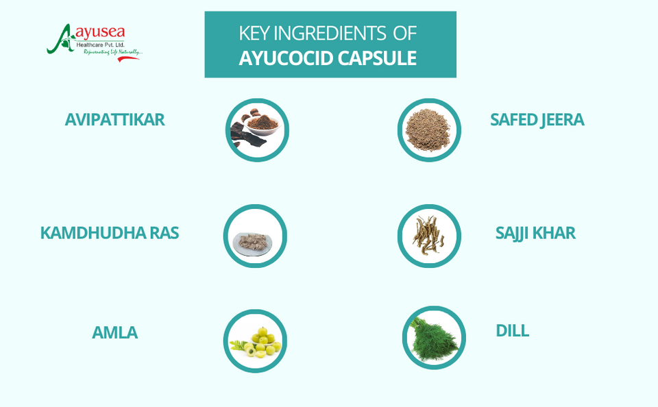 AYUCOCID CAPSULES 30N