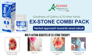 AYUSEA EX-STONE Ayurvedic Combi Pack, 30 capsules and 200ml syrup for kidney stone