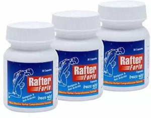 RAFTER FORTE capsules- HERBAL JOINT SUPPORT SUPPLEMENT 500mg