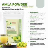 AYUSEA Amla powder (200g) and Neem powder (100g) combo for hair shine , dandruff , strength